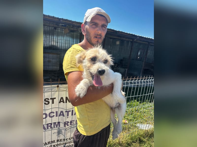 Peppina sucht sein Glück