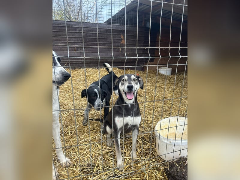 So liebe Maus sucht ihr Glück