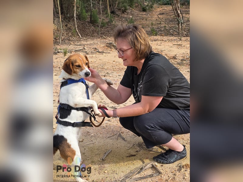 Nia sucht ihr Zuhause