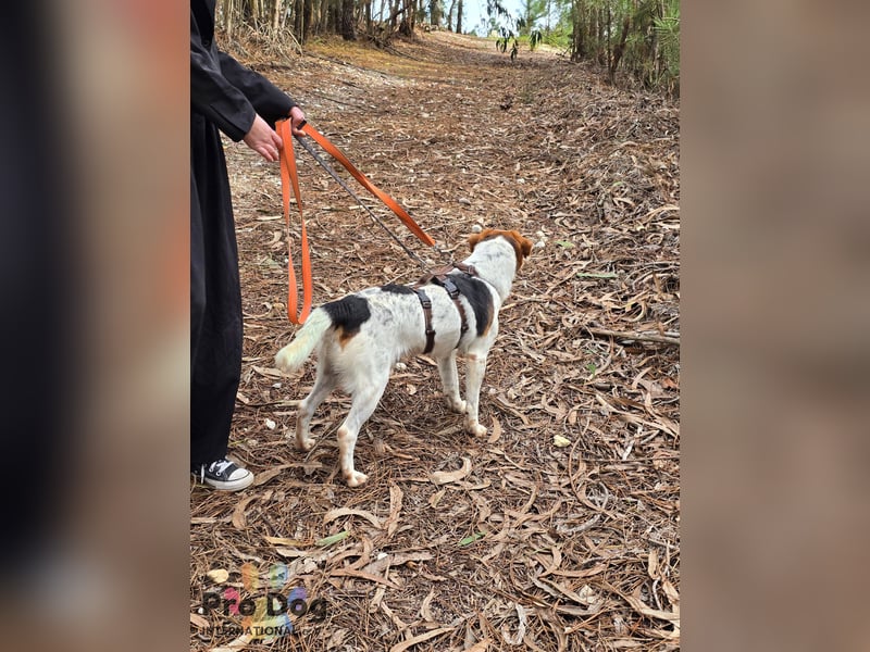 Nia sucht ihr Zuhause