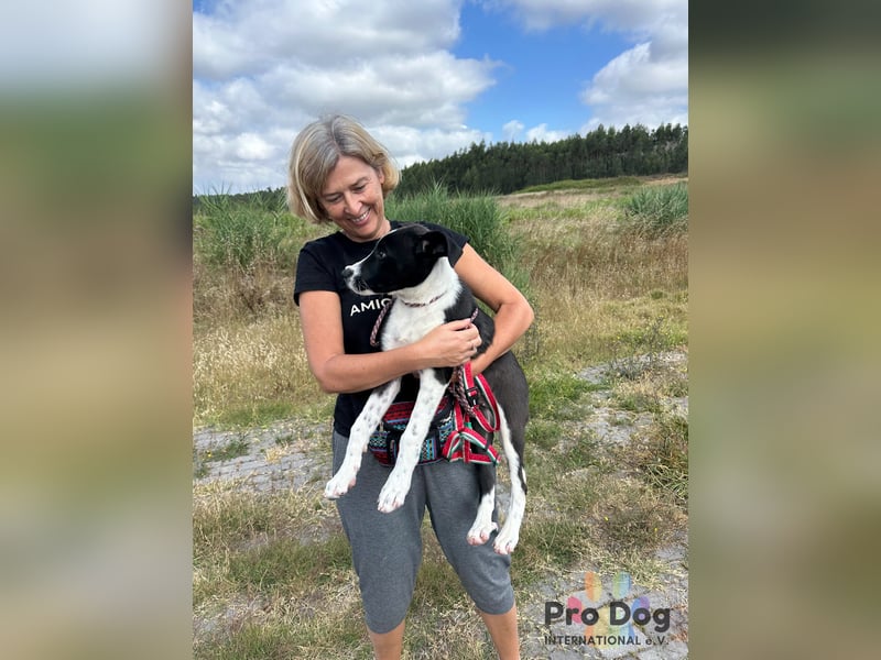 Hundekind Bagder