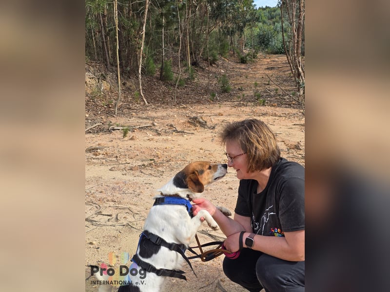 Nia sucht ihr Zuhause