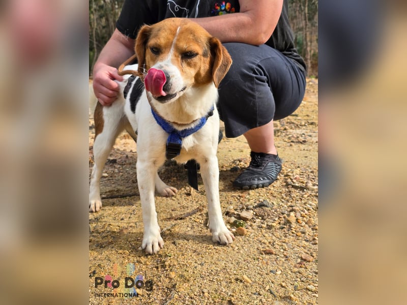 Nia sucht ihr Zuhause