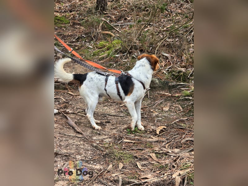 Nia sucht ihr Zuhause