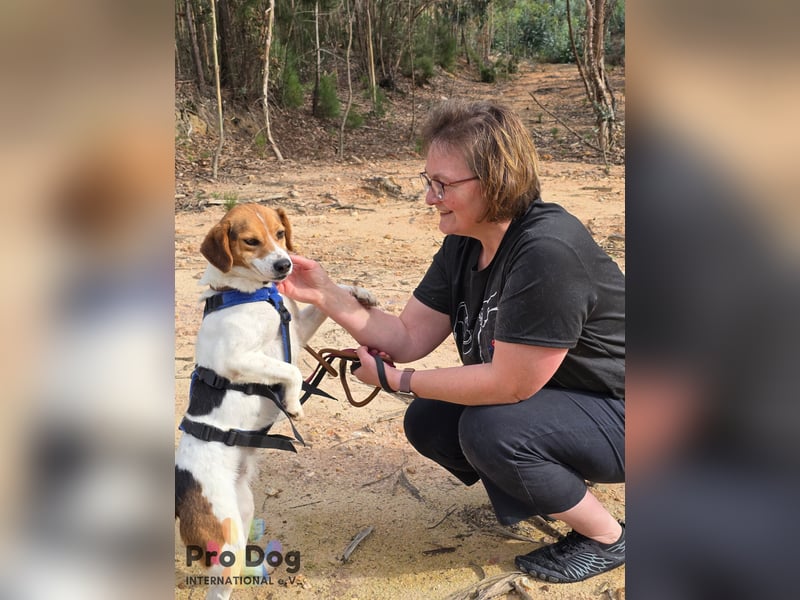 Nia sucht ihr Zuhause