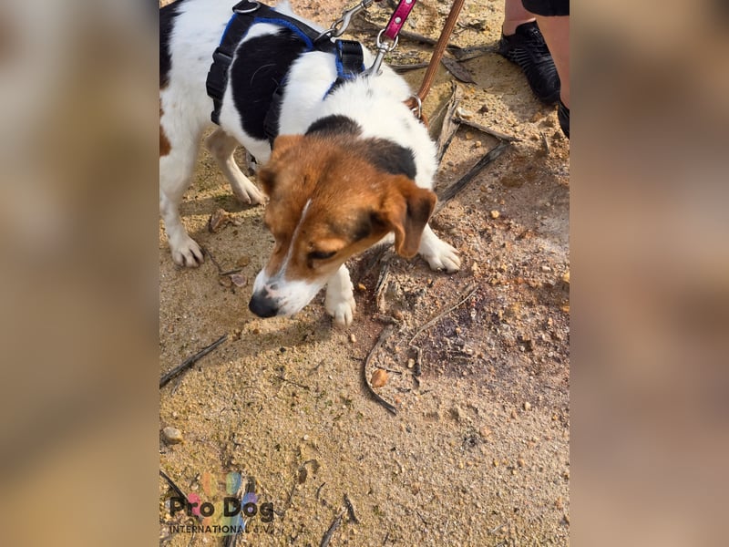 Nia sucht ihr Zuhause