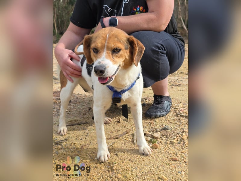 Nia sucht ihr Zuhause