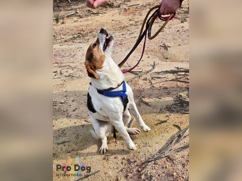 Nia sucht ihr Zuhause