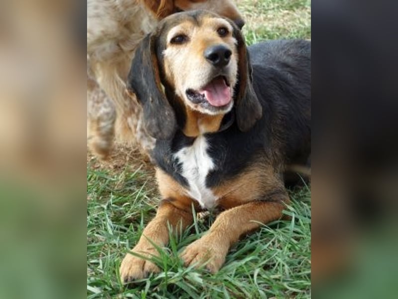 Kostas - eine sanfte Seele auf der Suche nach seinem Glück