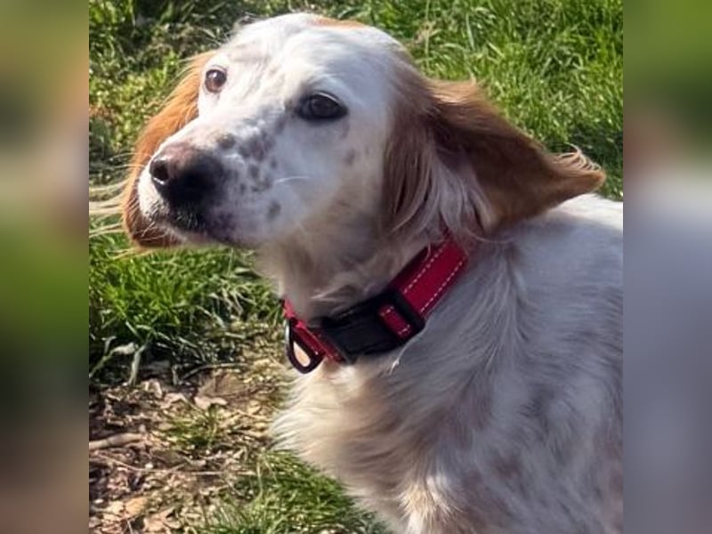 Bezaubernde Marilia sucht ihr Glück