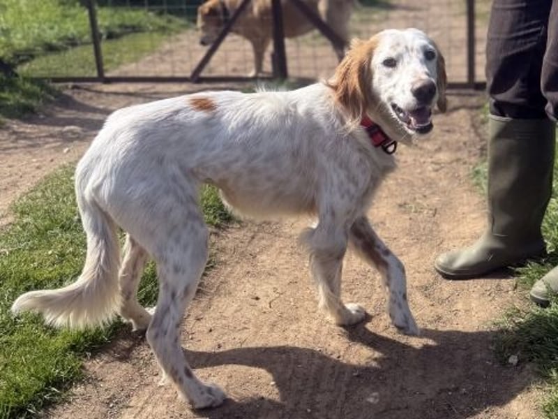 Bezaubernde Marilia sucht ihr Glück