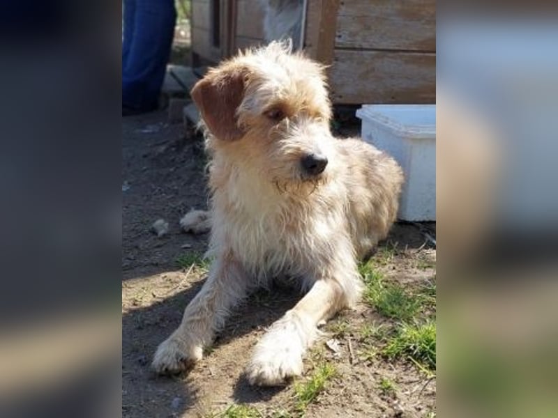 Sonnenschein Simon sucht seine Menschen