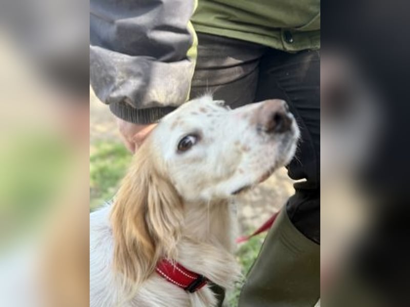 Bezaubernde Marilia sucht ihr Glück