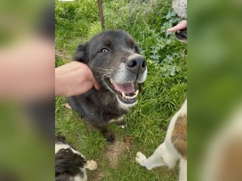 Bezaubernde Amaya sucht ihr Glück