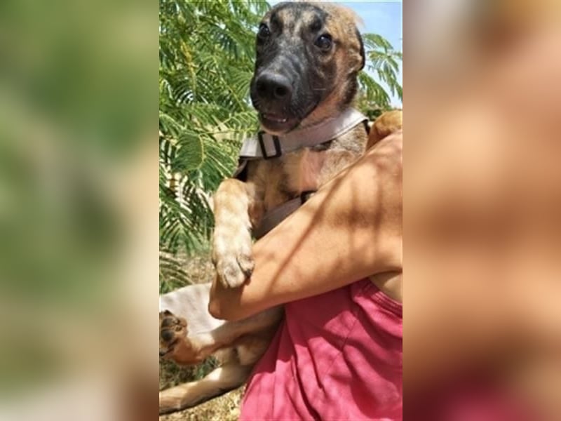Freundliche Kyra  sucht ihr Glück Freundliche Kyra  sucht ihr Glück