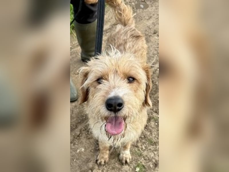 Sonnenschein Simon sucht seine Menschen