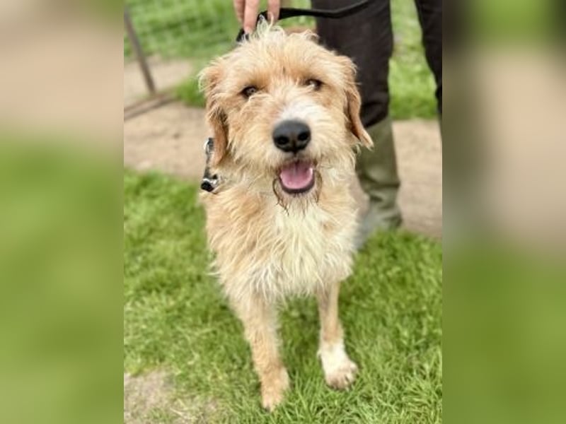 Sonnenschein Simon sucht seine Menschen