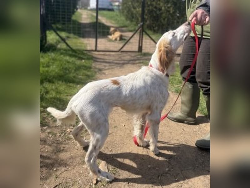 Bezaubernde Marilia sucht ihr Glück