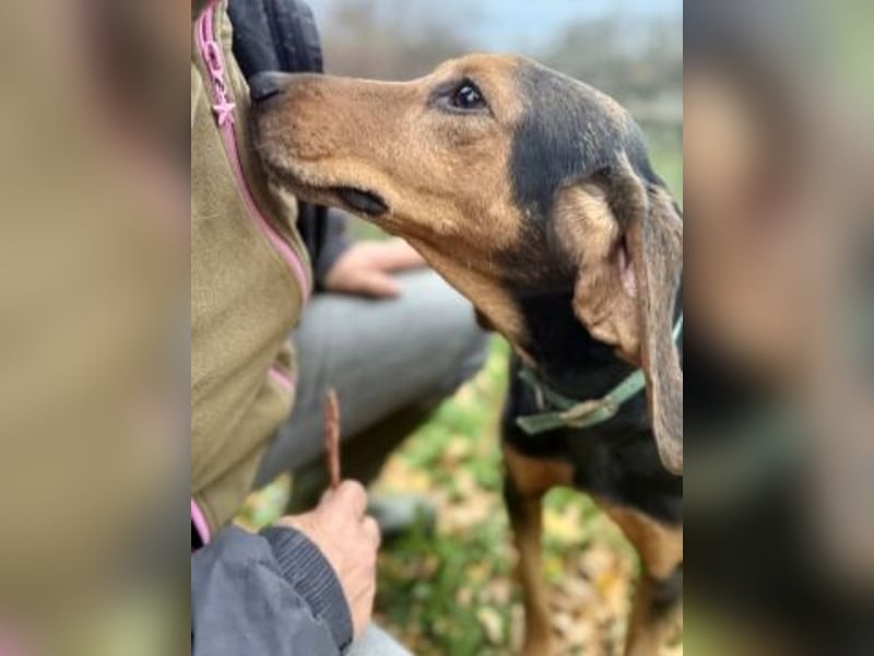 Sanfter Marco sucht sein Glück