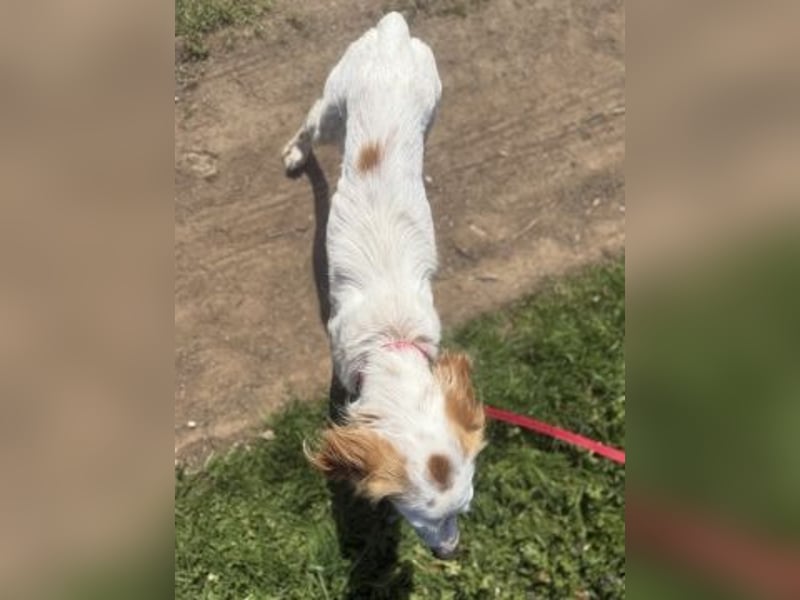 Bezaubernde Marilia sucht ihr Glück