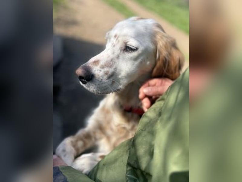 Bezaubernde Marilia sucht ihr Glück