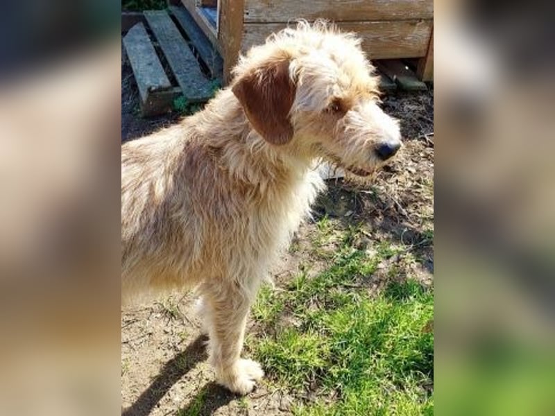 Sonnenschein Simon sucht seine Menschen