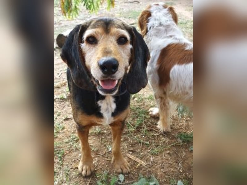 Kostas - eine sanfte Seele auf der Suche nach seinem Glück