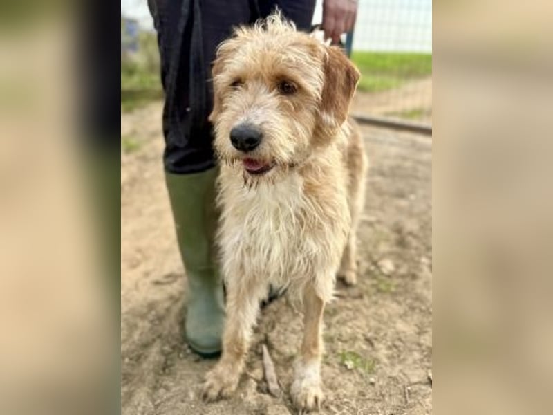 Sonnenschein Simon sucht seine Menschen