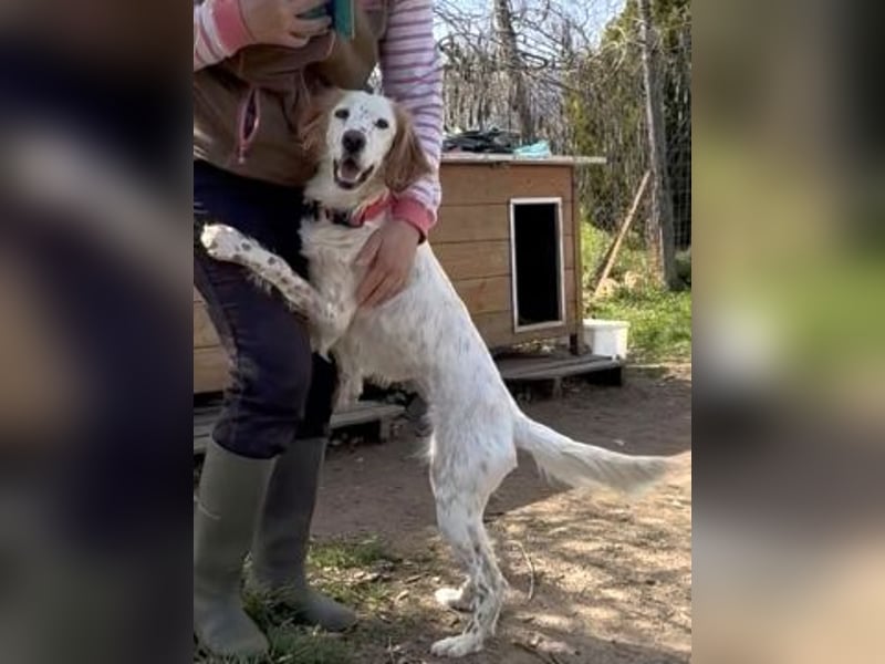 Bezaubernde Marilia sucht ihr Glück