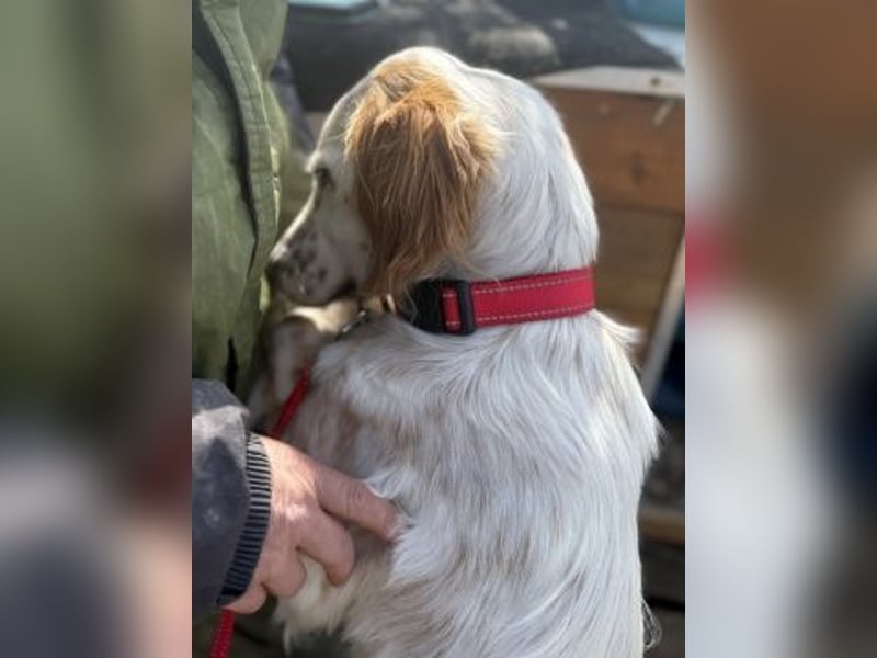 Bezaubernde Marilia sucht ihr Glück