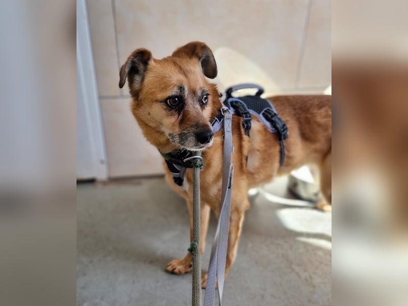 Lilo sucht Geborgenheit