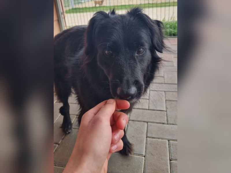 Nika fasst immer mehr Mut