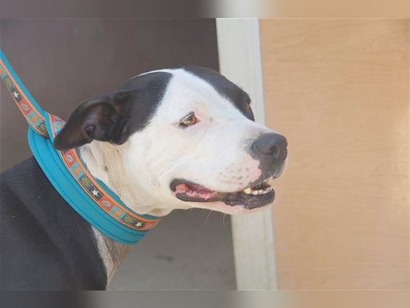 NINA, darf nicht nach Deutschland da Listenmix