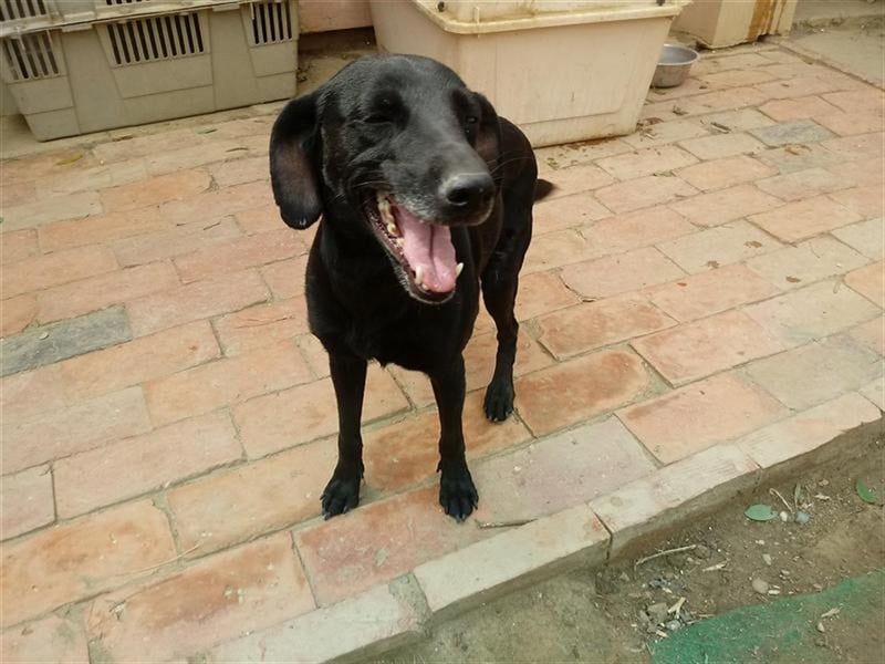 UNA, superliebe Maus mit kleinem Handicap