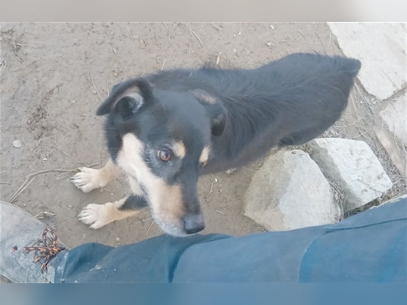 TRIXI, eine Zaubermaus mit kleinem Handicap