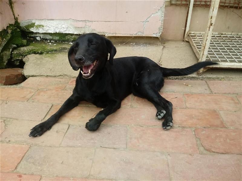 UNA, superliebe Maus mit kleinem Handicap