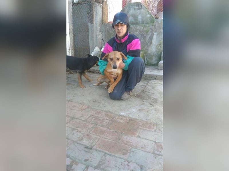 IV, absolutes Powerpaket. Sucht sportliche und aktive Menschen