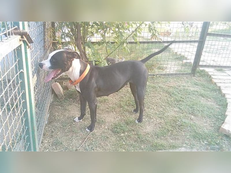 NINA, darf nicht nach Deutschland da Listenmix