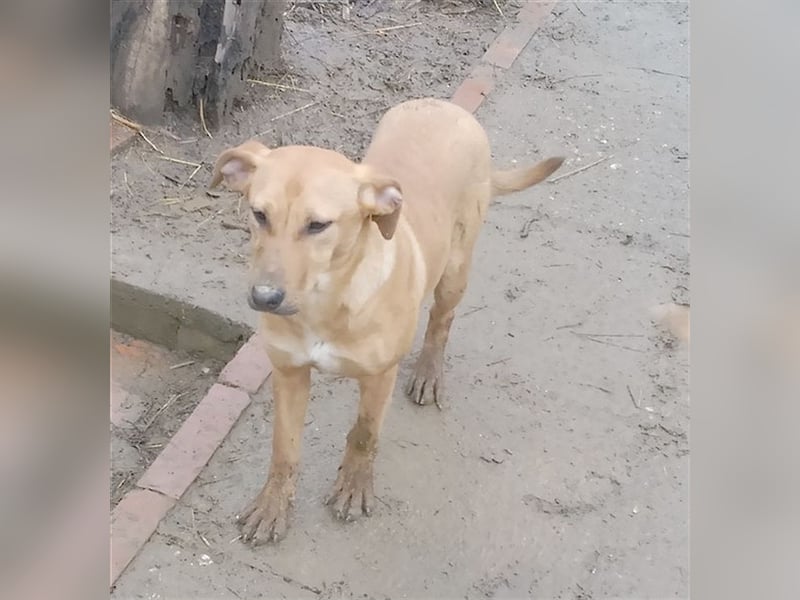 ANA, bildhübsche Maus