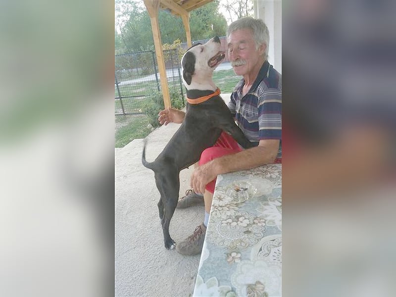 NINA, darf nicht nach Deutschland da Listenmix