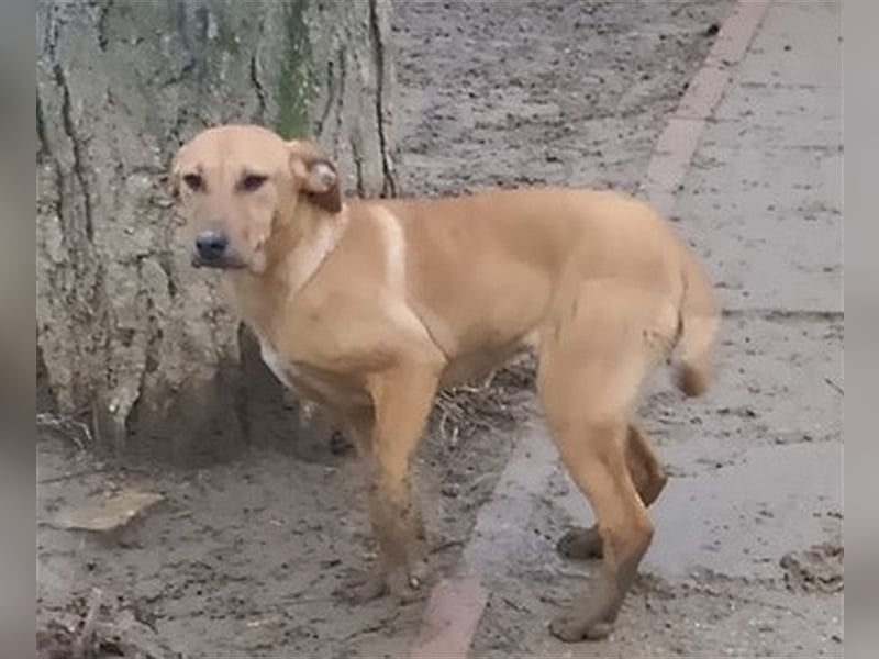 ANA, bildhübsche Maus