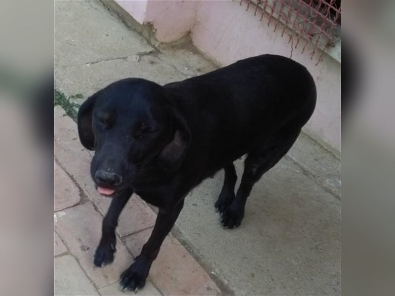 UNA, superliebe Maus mit kleinem Handicap