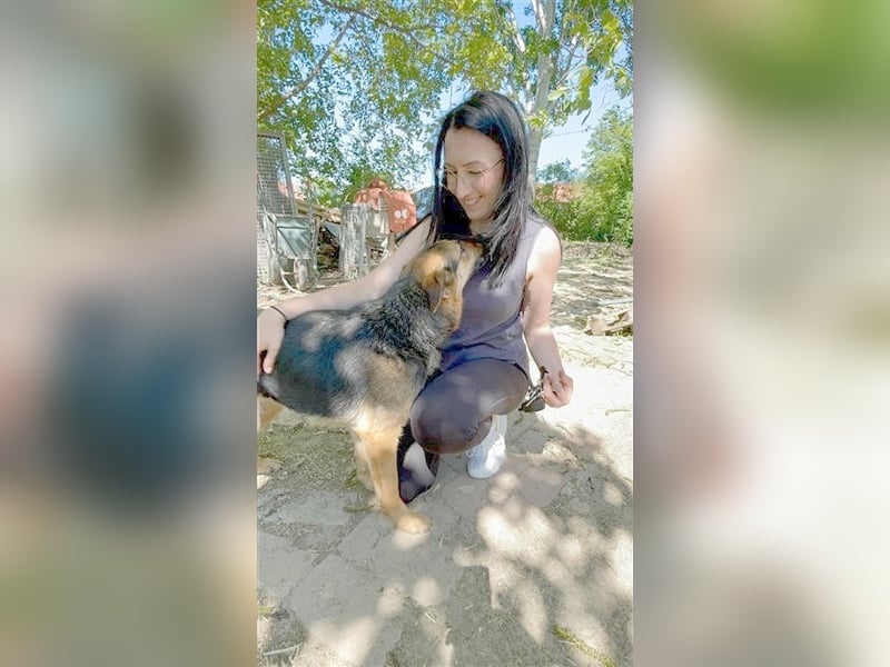 VIKI, eine Traummaus. Der  ideale Familienhund