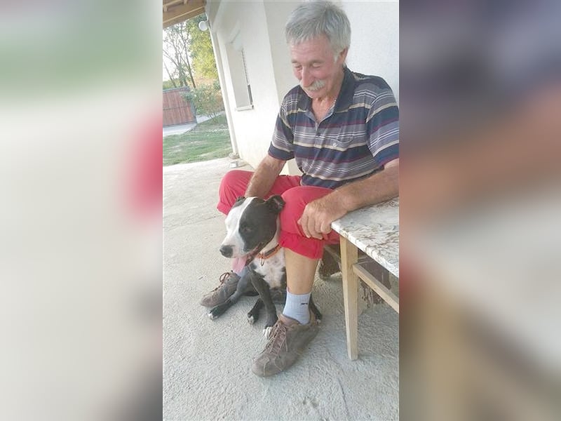 NINA, darf nicht nach Deutschland da Listenmix