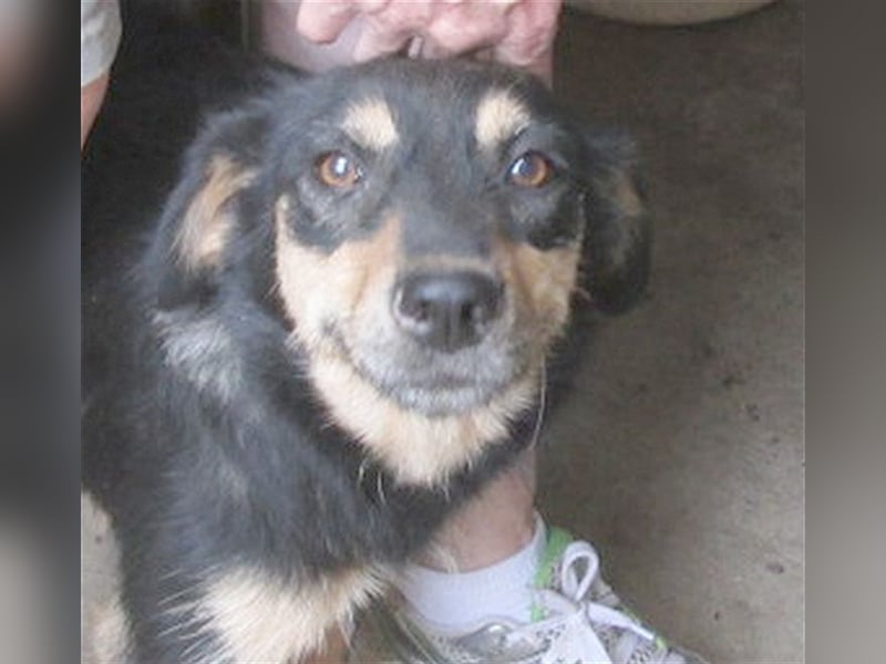 TRIXI, eine Zaubermaus mit kleinem Handicap