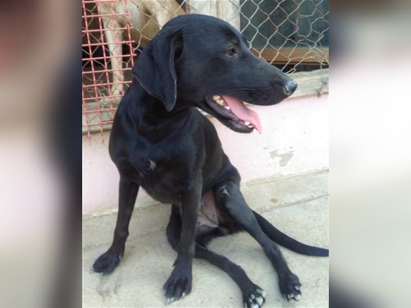 UNA, superliebe Maus mit kleinem Handicap