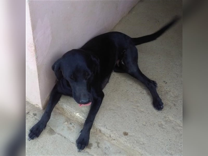 UNA, superliebe Maus mit kleinem Handicap