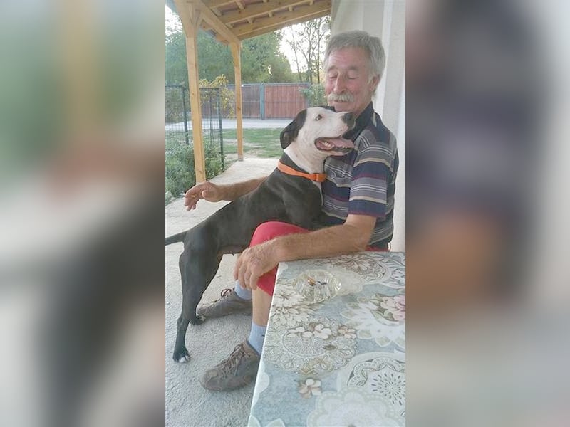 NINA, darf nicht nach Deutschland da Listenmix