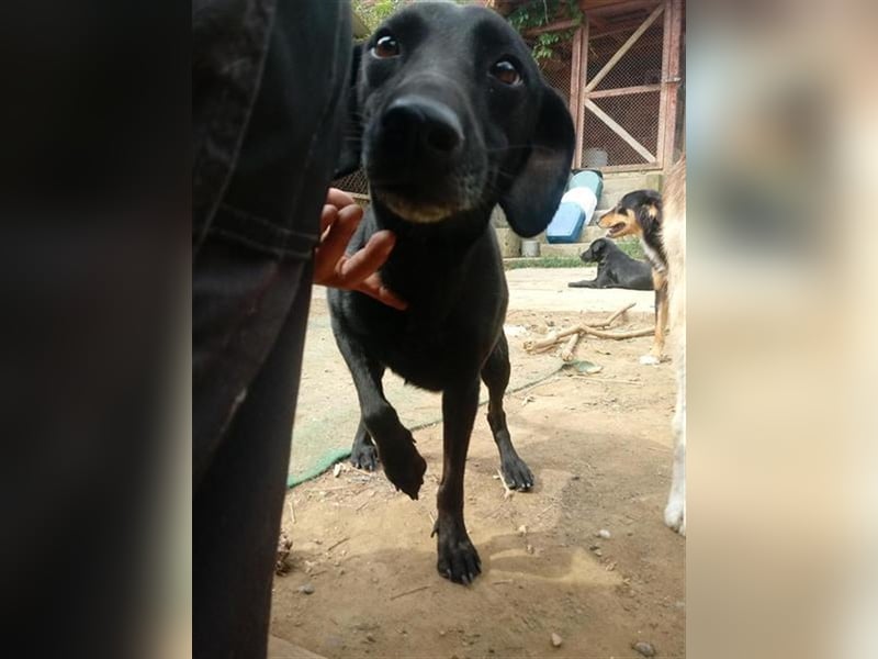 UNA, superliebe Maus mit kleinem Handicap