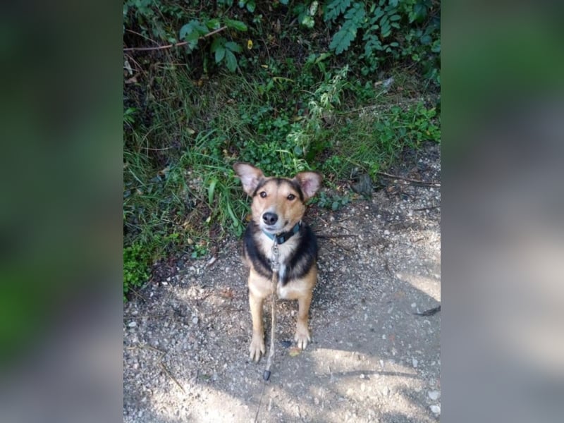 Sue sucht Kuschelplatz